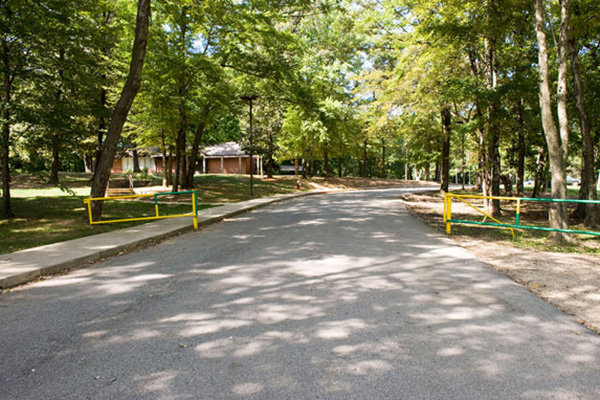 Ardmore Park Building