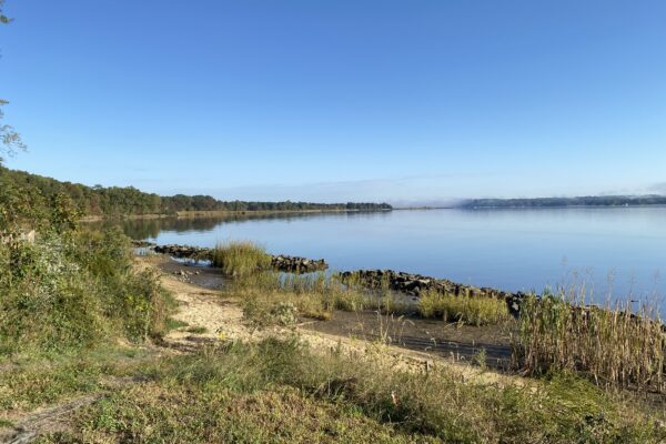 Cedar Haven Natural Area