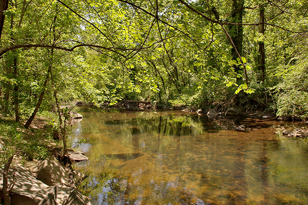 Northwest Branch Stream Valley Park