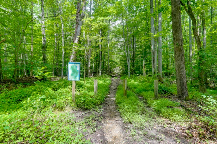 A narrow, natural surface trail leads into a heavily wooded area. To the left of the trail, a map is mounted on a wooden post. Wooden bollards are installed on either side of the trailhead.