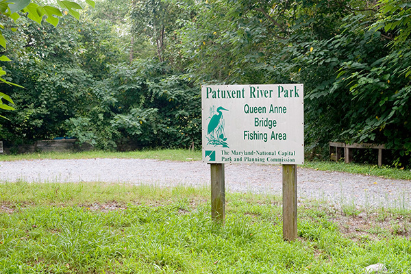 Queen Anne Bridge Fishing Area