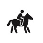 person riding a horse