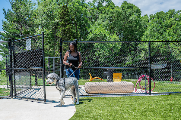 Celebrations for New Dog Park and Community-Designed Park Upgrades Announced