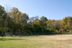 A grassy field surrounded by trees, with a black chain-link fence around a section of the field.