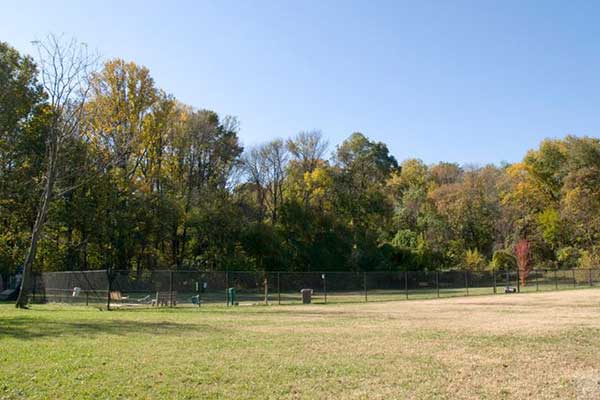 College Park Dog Park (Acredale Community Park)