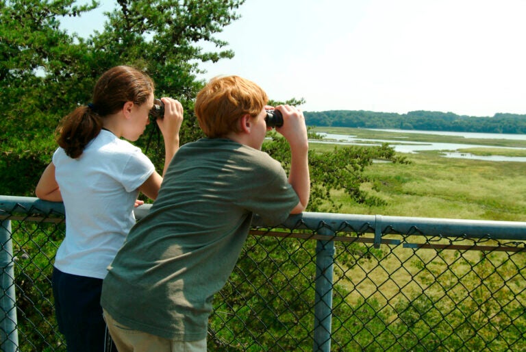 A boy and a girl rest their elbows on the top of a chain-link fence, using binoculars to look out across a marshy wetland area with a body of water in the distance.