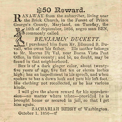 Ben Duckett Ad