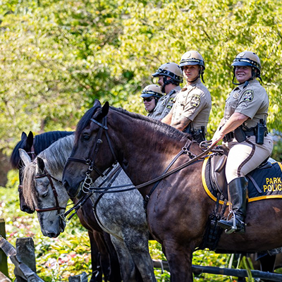 Park police on horses