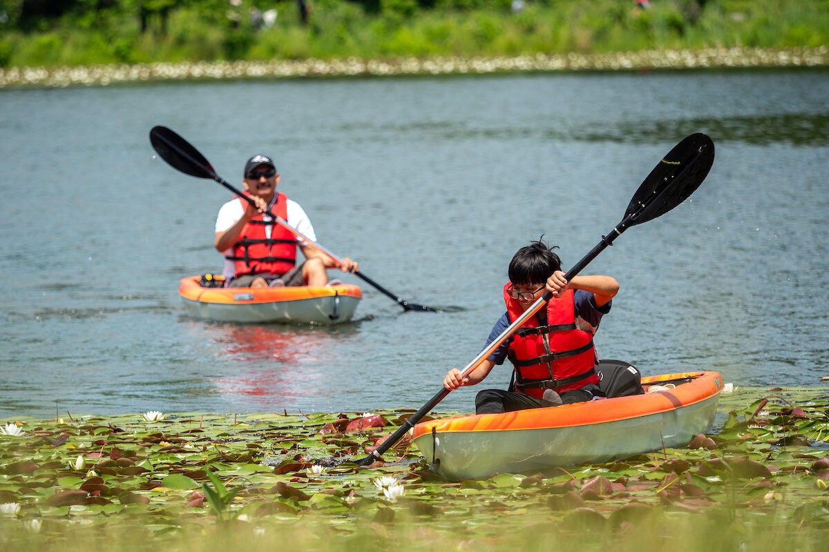A man and his son paddle in a lake in individual orange kayaks with black paddles. They both wear red life vests. The boy has paddled into a thick patch of lily pads near the bank, while his father follows behind in the water.