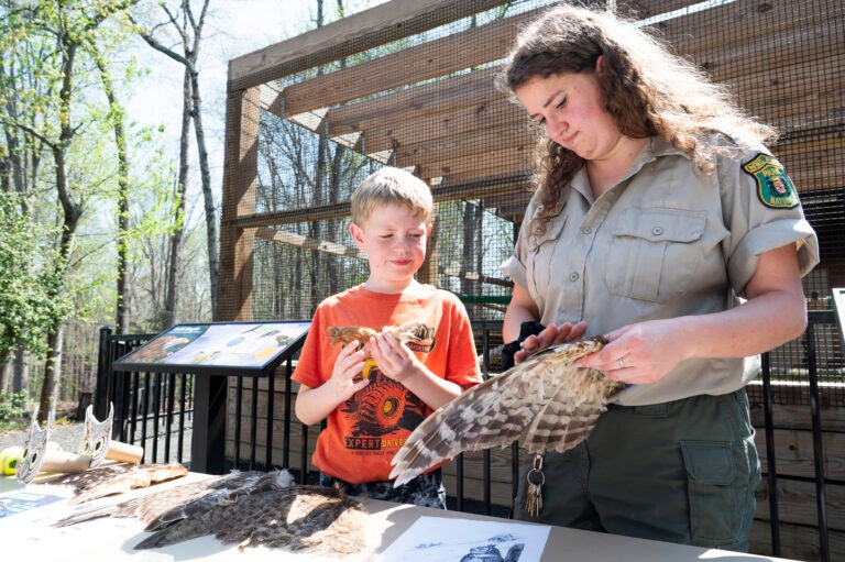 Child and nature center staff member examine bird feathers at an outdoor educational table beside an animal enclosure during a community nature program.