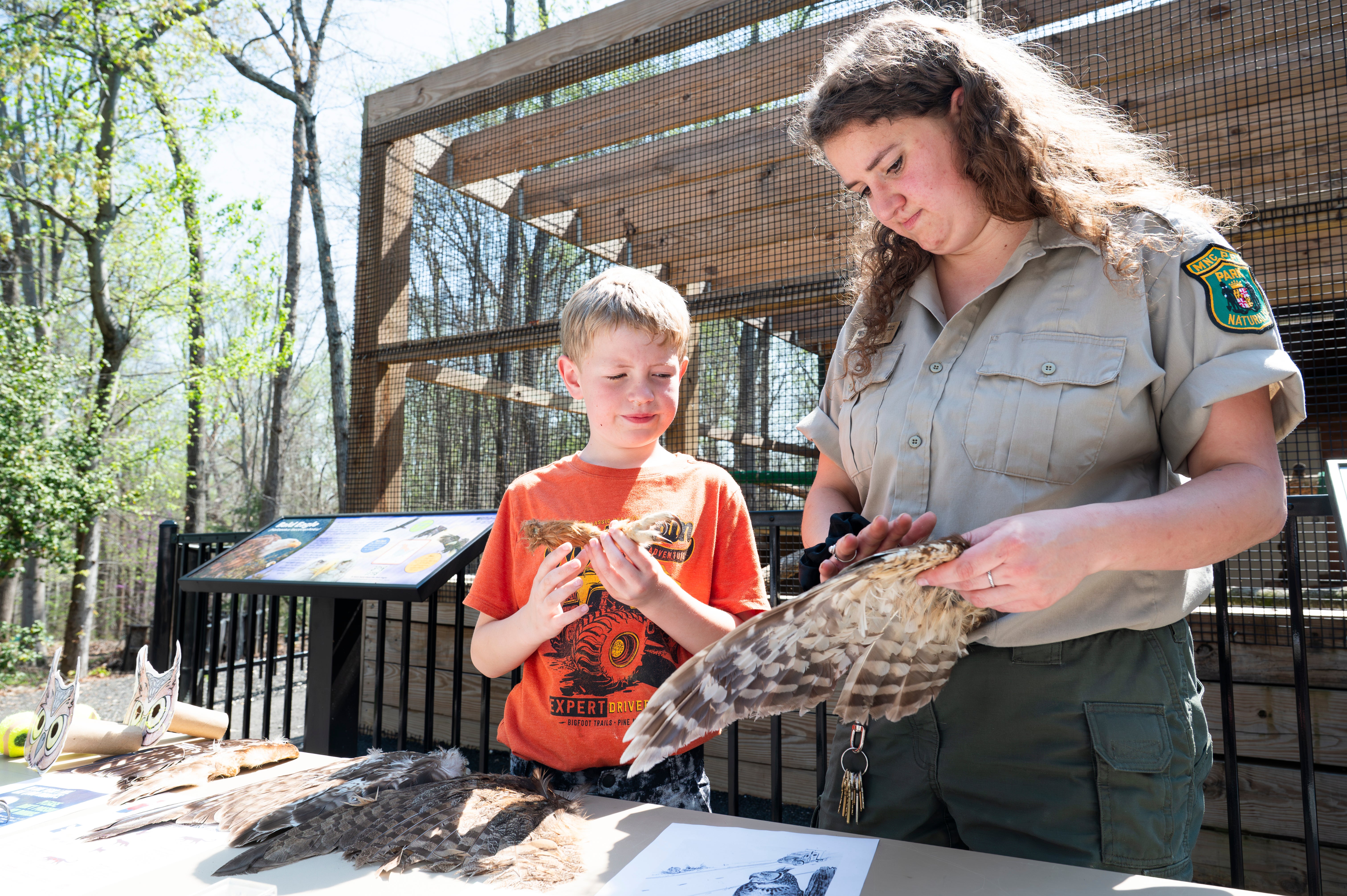 Child and nature center staff member examine bird feathers at an outdoor educational table beside an animal enclosure during a community nature program.