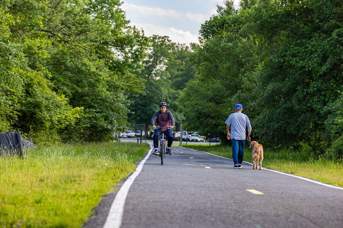 A man walks a dog while a cyclist passes him on an asphalt paved trail with a dotted line down the middle. The trail has grass on both sides, with woods beyond. In the distance is a parking lot full of cars.