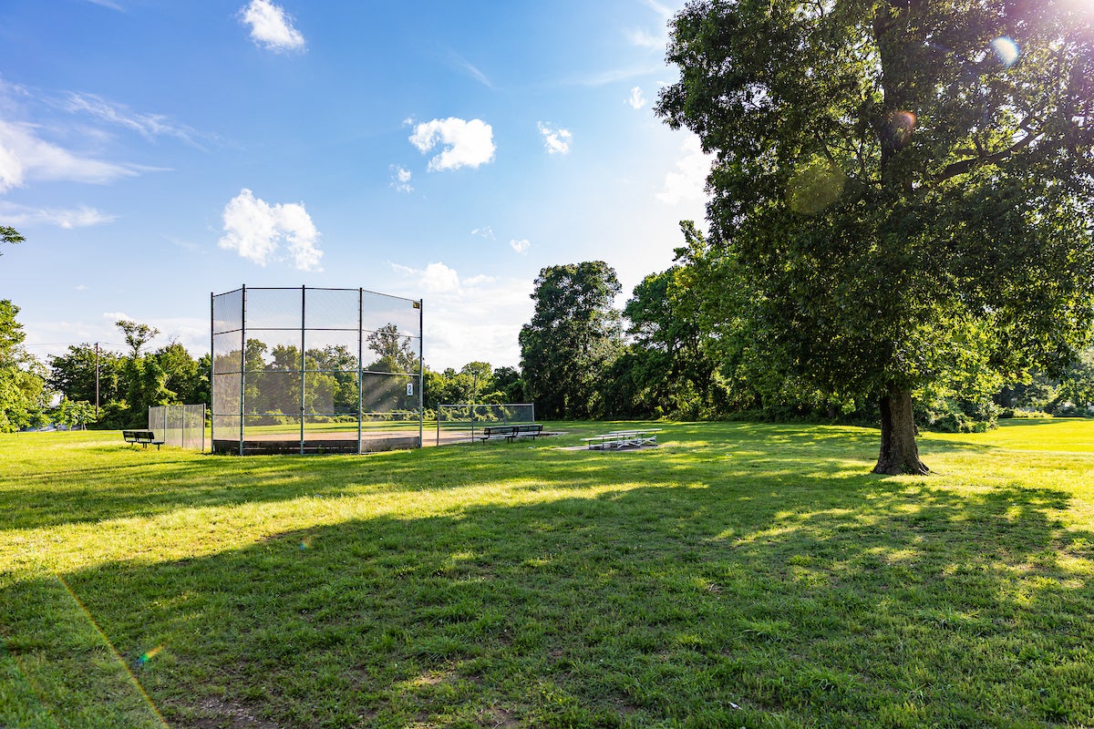 In a grassy field is a small baseball or t-ball diamond with a chain-link backstop behind home plate. There is a large oak tree behind the bleachers and other trees in the far distance.