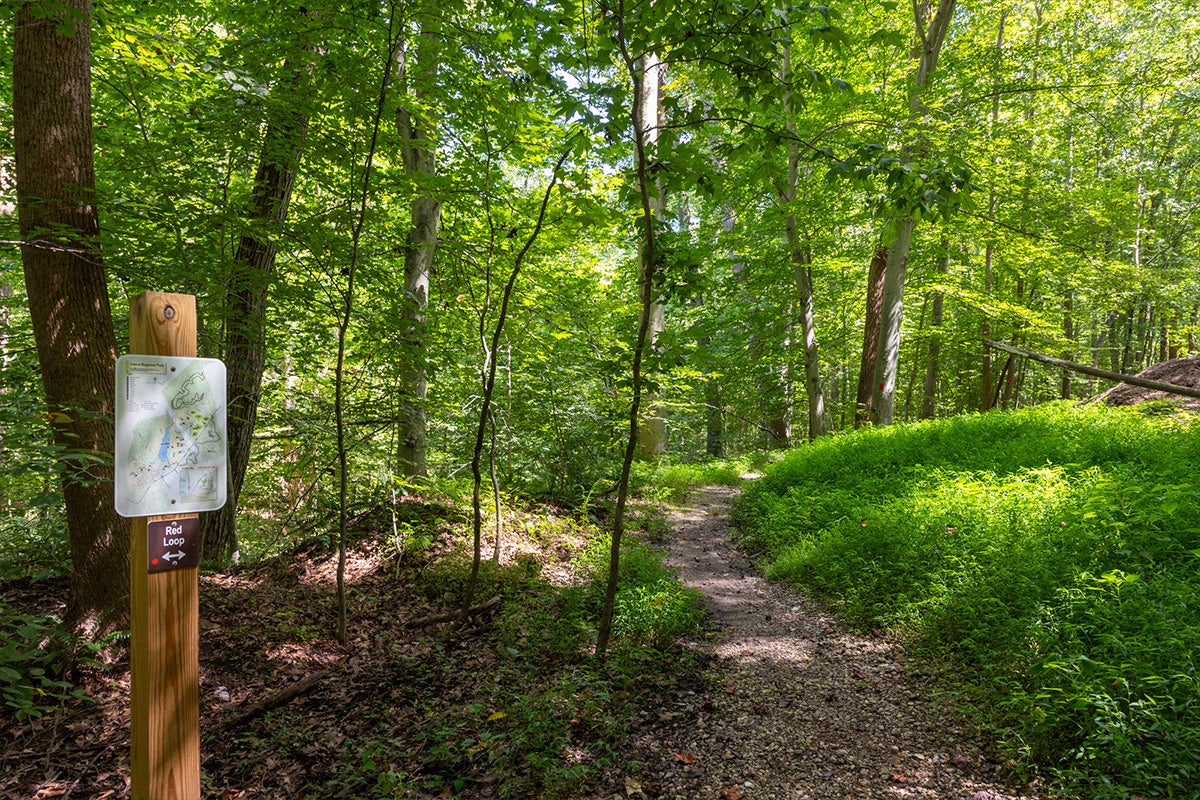 A sign marked Red Loop next to a natural surface trail in a wooded area.