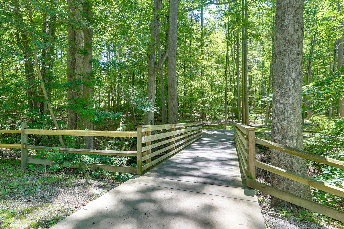 A footbridge with wooden railings leading to a trail in a forested area.
