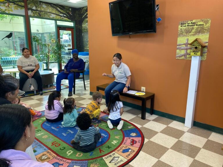 A staff member in a nature center speaks to toddlers sitting on a colorful rug.