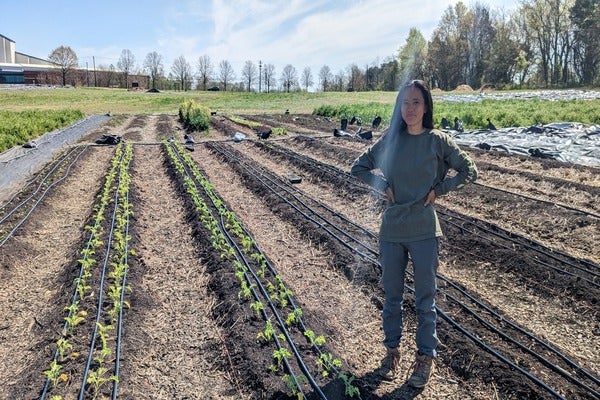 A woman on a farm standing in a field of crops.