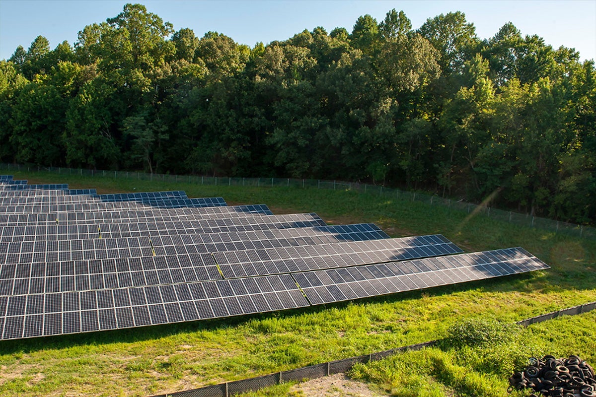 Eleven rows of solar panels in a field, next to a wooded area.