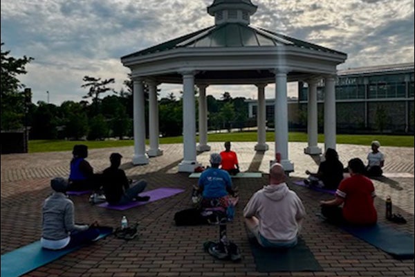 A group of people doing yoga on yoga mats under a shady gazebo