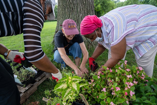 three women tending to a garden