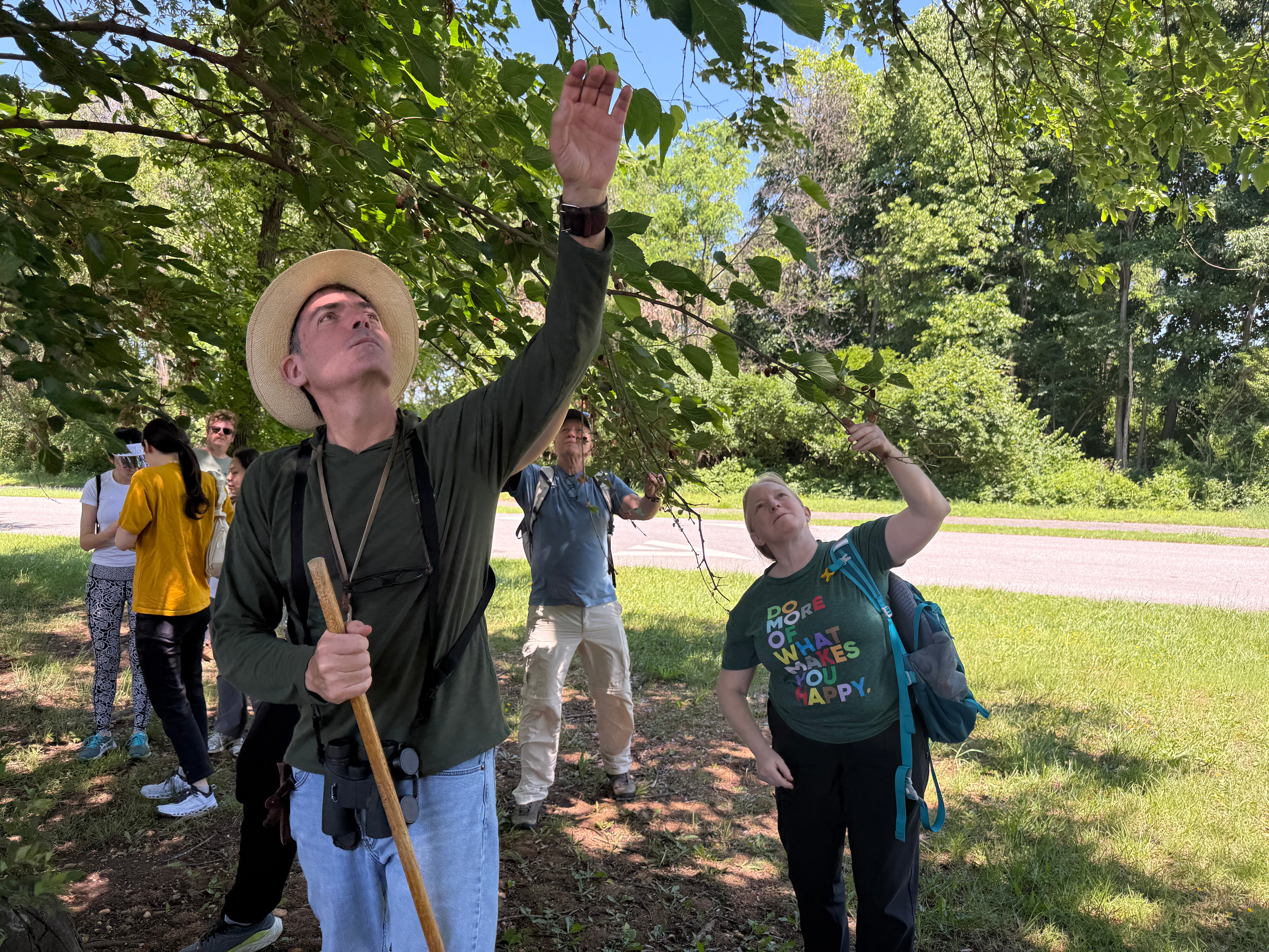 Group of adults examining tree foliage during a guided ecological field observation.