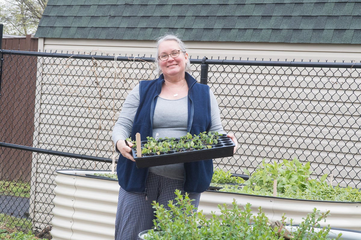 A smiling person stands near raised garden beds holding a tray of plant seedlings.