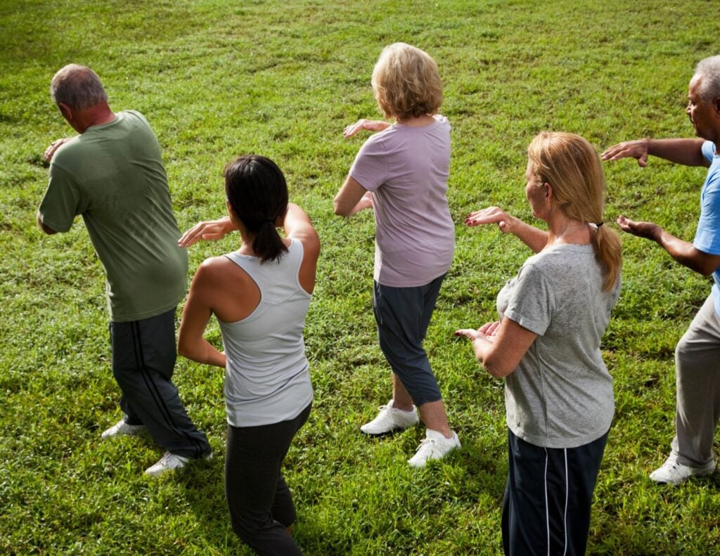 Tai Chi: Beginner with Hero 